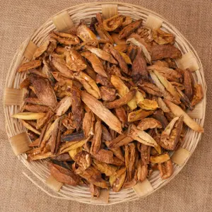 KOTHIMBA KACHHARI